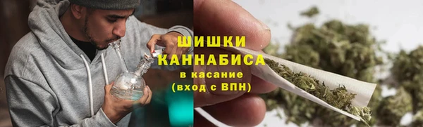 apvp Ельня
