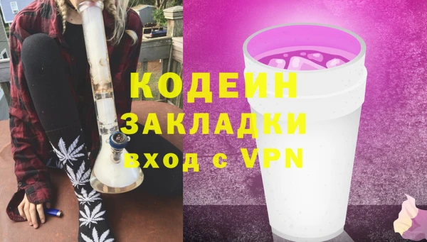 apvp Ельня