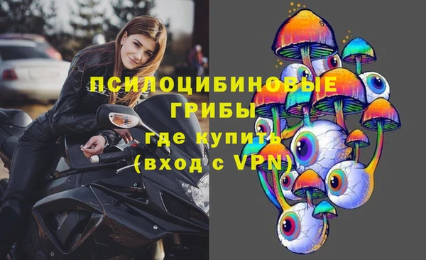 гашик Елабуга