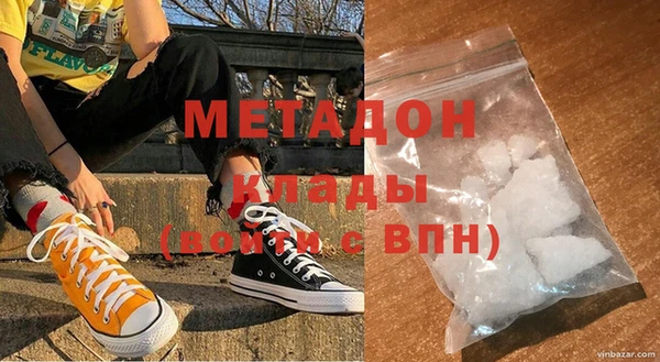 индика Дмитриев
