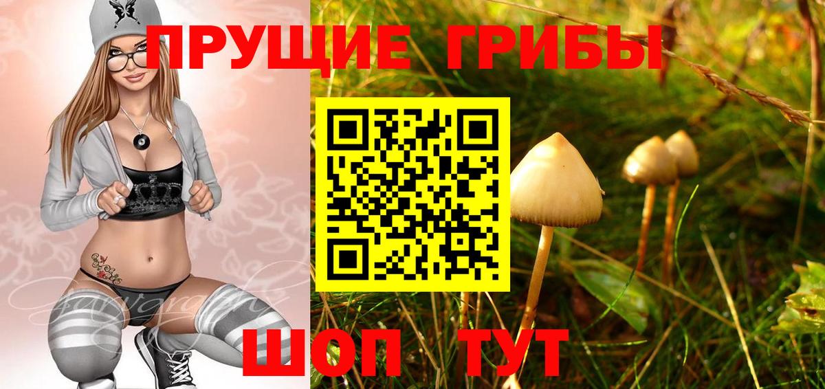 Псилоцибиновые грибы мухоморы  купить наркоту  Среднеуральск  Вход с VPN 